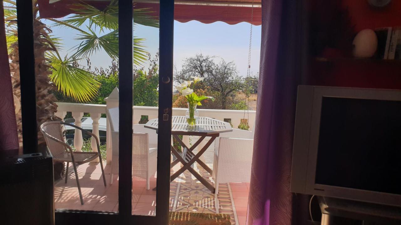 Casa Flores ロス・ジャノス・デ・アリダネ エクステリア 写真